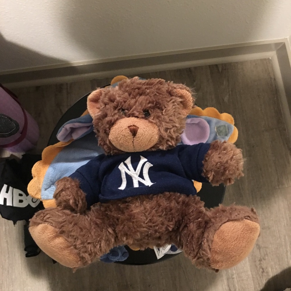 Teddy bear plush